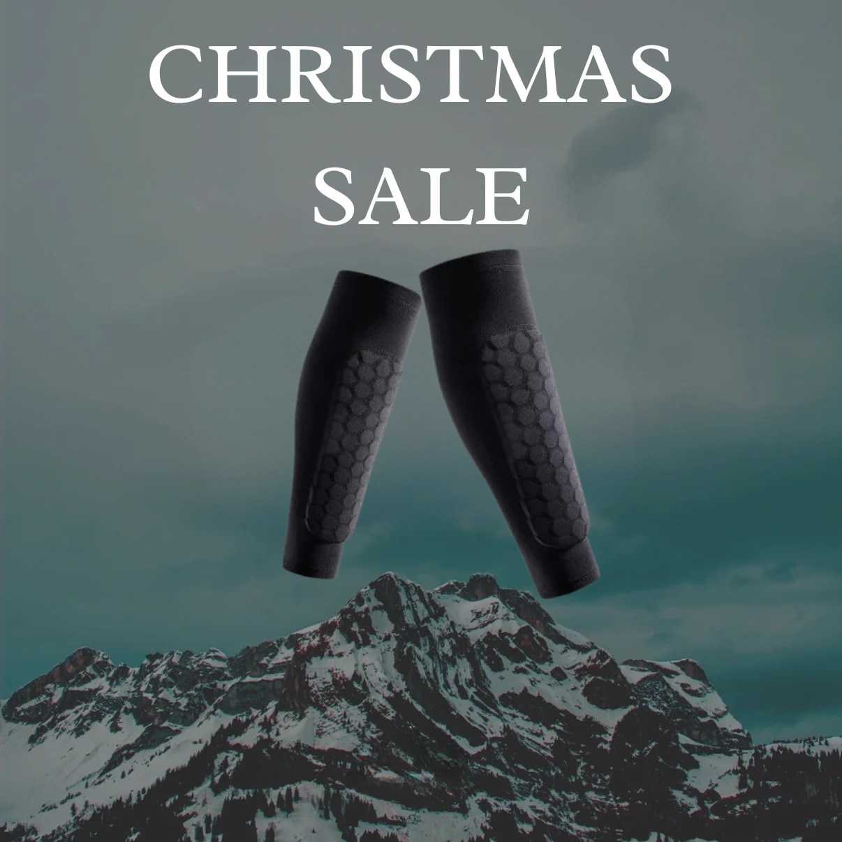 Alpine SHINBANG Protector 2.0